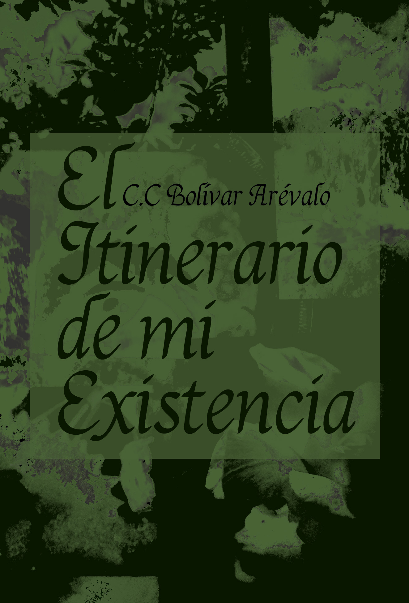 El itinerario de mi Existencia