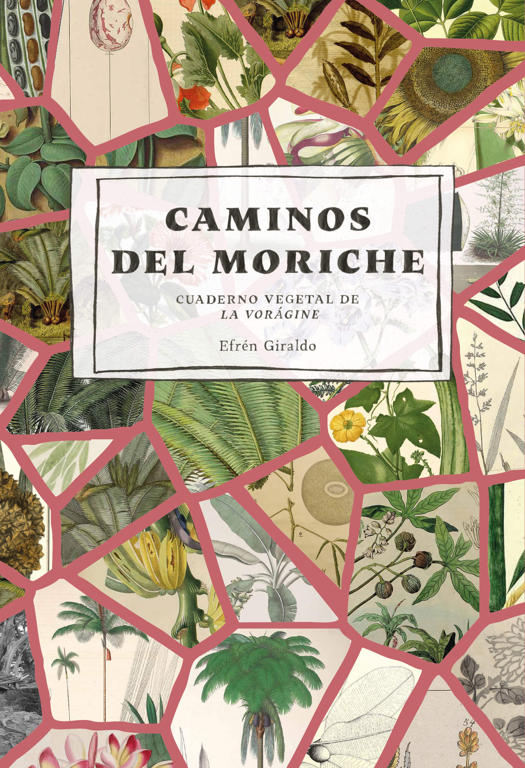 Caminos del moriche. Cuaderno vegetal de La vorágine