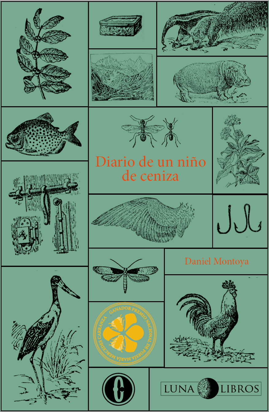 Diario de un niño de ceniza