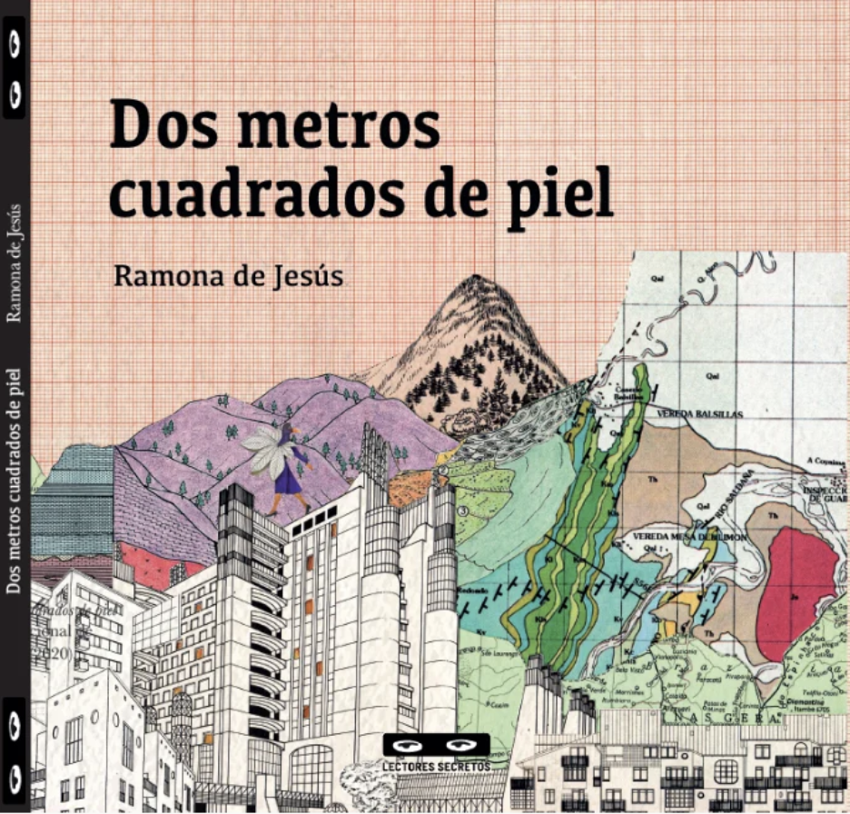 Dos metros cuadrados de piel 